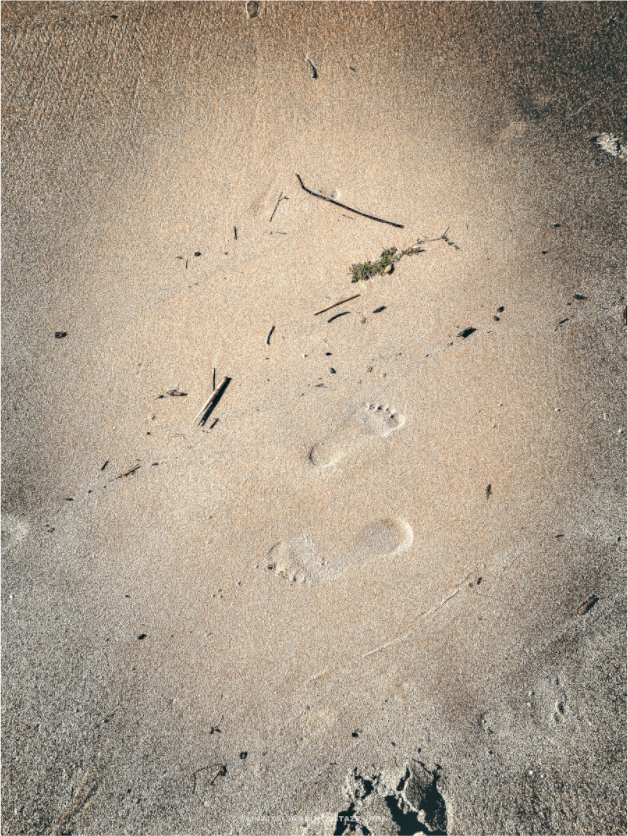 Orme sulla sabbia n.2