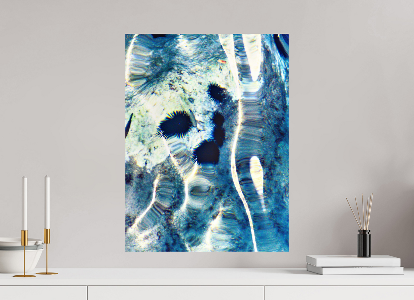 45 x 60 cm, Photo Print On Fuji Crystal DP II Ricci di mare 1