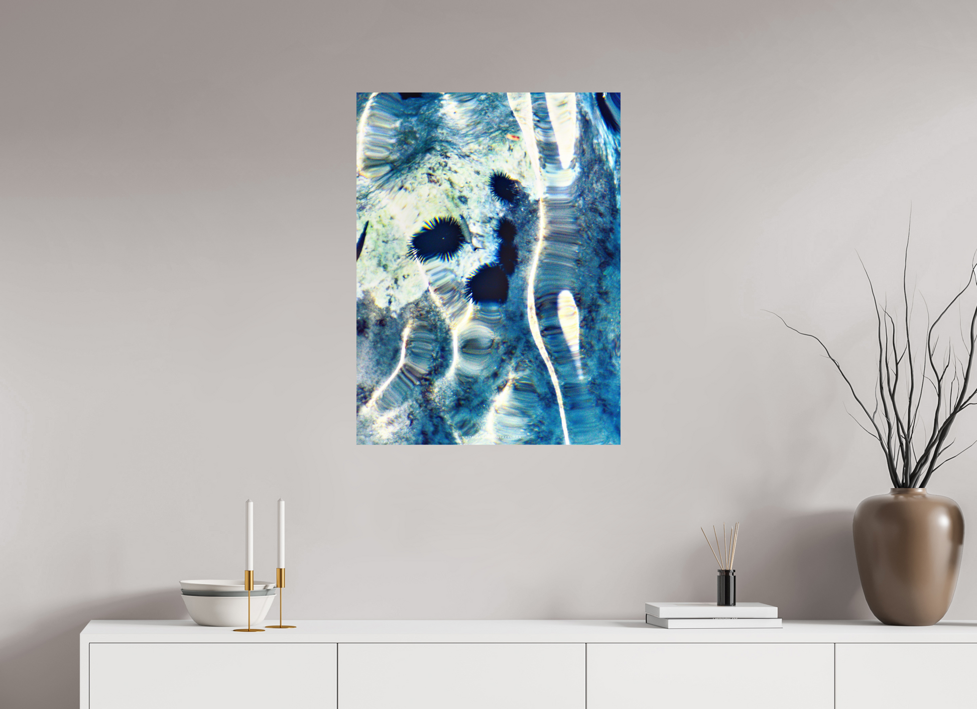 60 x 80 cm, Photo Print On Fuji Crystal DP II Ricci di mare 1