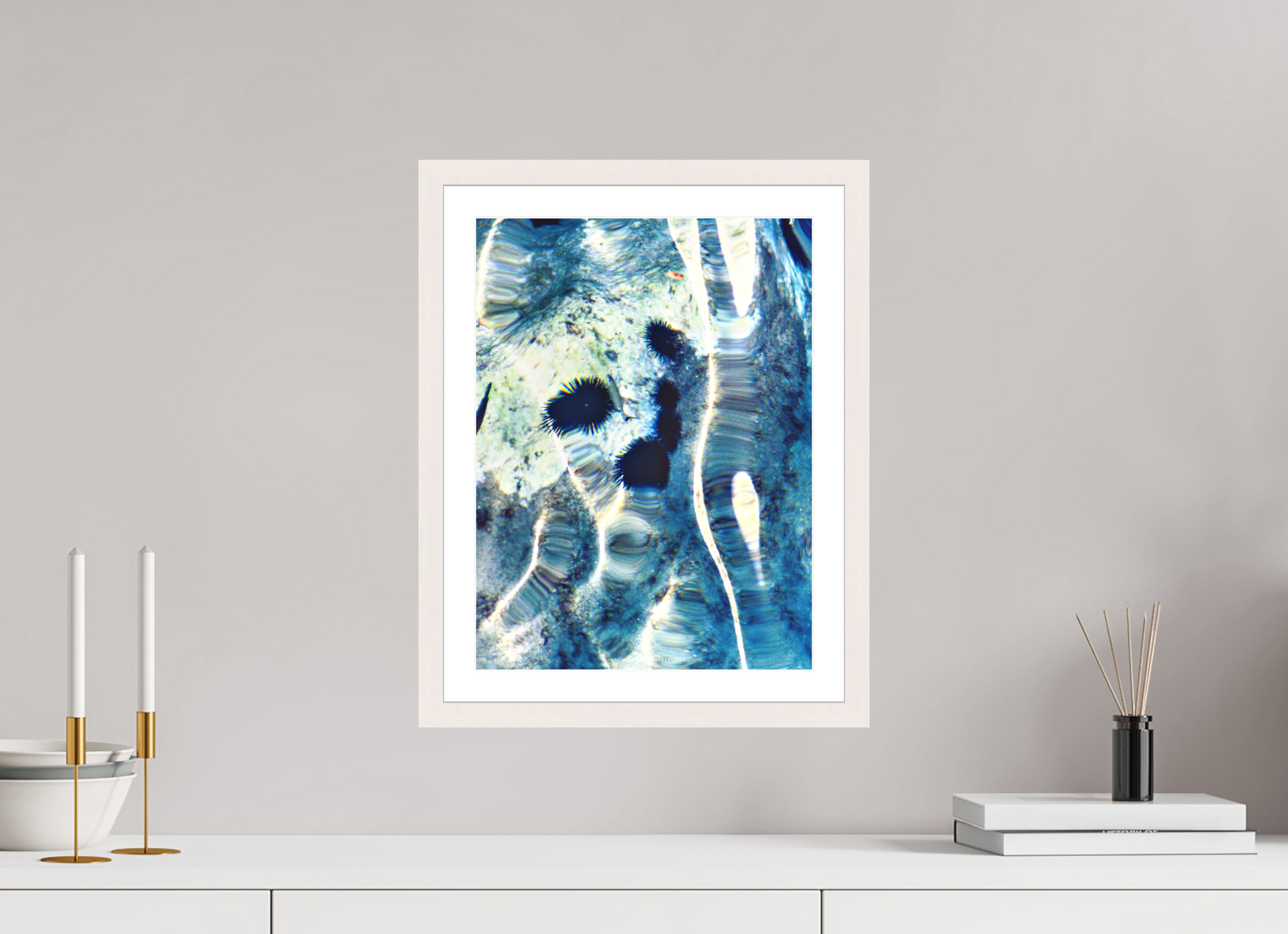 30 x 40 cm, Impression fine art Ricci di mare 1