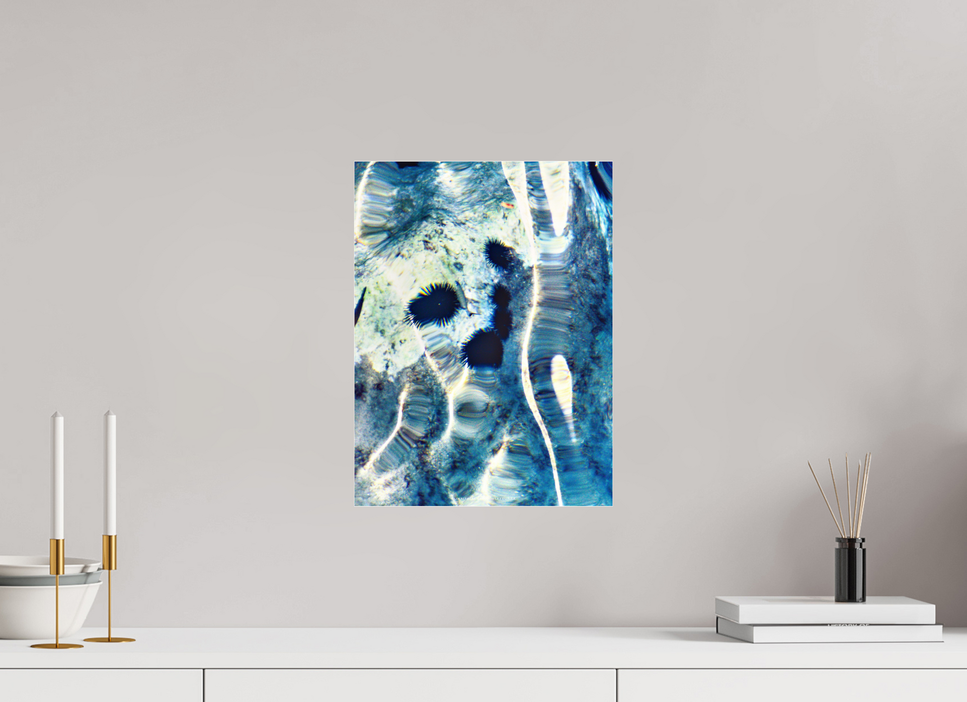 30 x 40 cm, Photo Print Under Acrylic Glass Ricci di mare 1