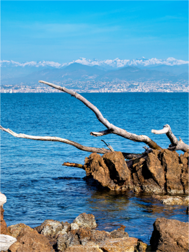 Main image Mare e montagne innevate