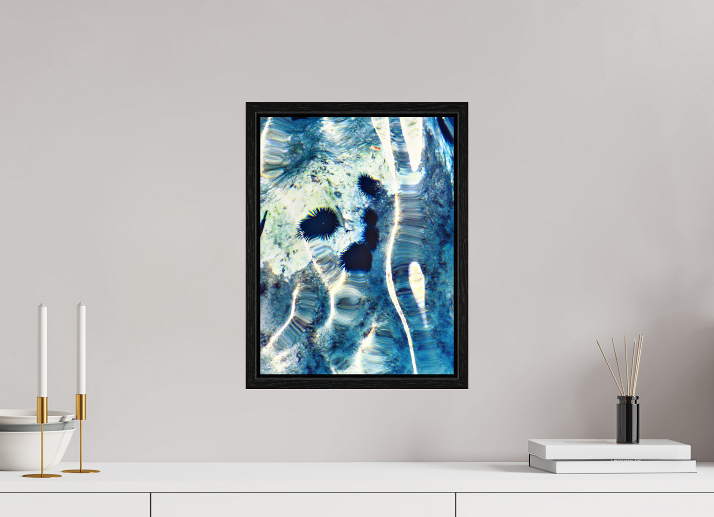 30 x 40 cm, Floater Frame Ricci di mare 1