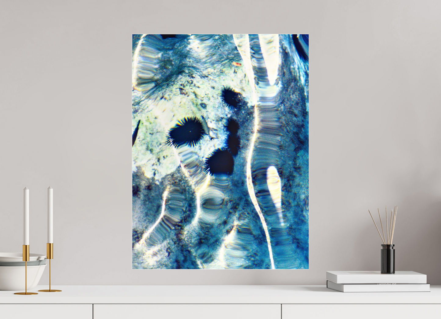 45 x 60 cm, Photo Print Under Acrylic Glass Ricci di mare 1